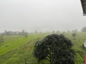 un campo verde con un árbol en primer plano en Serene Stay Baijnath, en Sahel