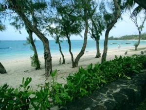 a beach with trees and the ocean in the background at 11 residence thalassa in Belle Mare