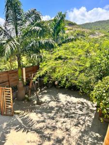 Fotografie z fotogalerie ubytování PiscinaCascolHostal v destinaci Puerto López