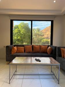 Fotografie z fotogalerie ubytování غزال واحد v destinaci Al Ula