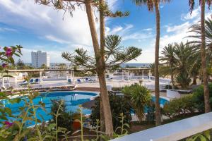 a swimming pool with palm trees in a resort at Apartamentos Matorral in Morro del Jable