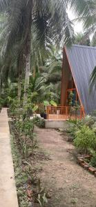 a house with a palm tree in front of it at Homestay and Tour Ben Tre in Ben Tre