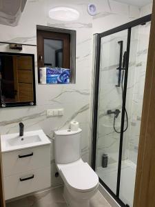 a bathroom with a shower and a toilet and a sink at Domki nad stawem nr2  +11 photos