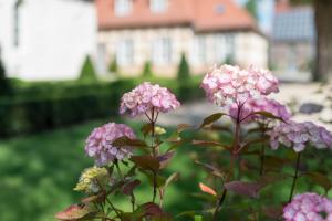 un mazzo di fiori rosa di fronte a un edificio di Schloss Beuchow a Lübbenau