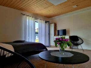 Телевизор и/или развлекательный центр в Fit Apartmán Zborov