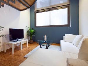 TV a/nebo společenská místnost v ubytování Apartment Barcelona Rentals - Park Güell Apartments