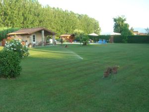 a large lawn with a house and a yard with plants at Rustico del Chiasso - Villa With Private pool near Lucca in Lucca
