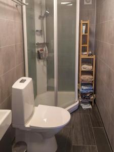a bathroom with a white toilet and a shower at Stylish Cabin Experience In Beautiful Surroundings in Færvik +17 photos