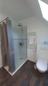 a bathroom with a shower and a toilet at ENTRE LOIRE ET CHER Gîte "Le Nid Douillet" in Tour-en-Sologne +13 photos