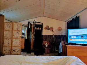 a bedroom with a bed and a tv on a dresser at Les Jardins de Castelange in Le Thoronet