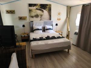 a bedroom with a large bed and a tv at Les Jardins de Castelange in Le Thoronet