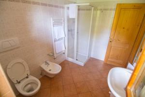 ein Bad mit einem WC, einer Dusche und einem Waschbecken in der Unterkunft Agriturismo Raethia in Valdidentro