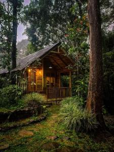 a log cabin in the middle of a forest at Villa in Ahangama