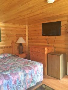 a bedroom with a bed and a flat screen tv at Z Bar Motel in Buffalo