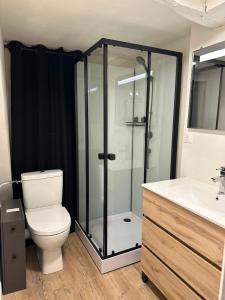 a bathroom with a shower and a toilet and a sink at Le Cocon Suspendu in Pont-Audemer +25 photos