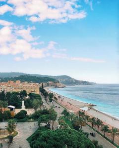 ニースにあるMassena luxury apartmentのヤシの木と海のあるビーチの景色