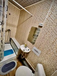 een badkamer met douche, wastafel en toilet bij Casa Beijing in Braşov +8 foto's