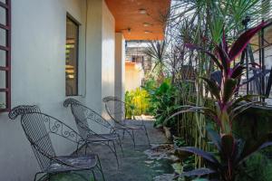 a group of chairs sitting on a porch with plants at Aroha Hostel in Coron