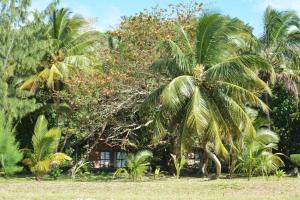 a group of palm trees in front of a house at Villa zakitoo in Sainte Marie