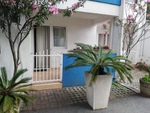 a house with two palm trees in front of a blue door at Apartment Aleksic Becici in Bečići