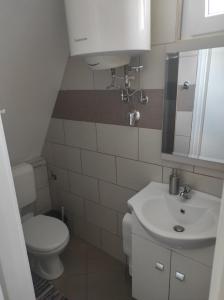 a small bathroom with a toilet and a sink at Tavasz apartman in Balatonfenyves