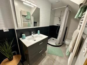 a bathroom with a sink and a toilet and a mirror at Studio Cosy en vallée d'Ossau in Izest