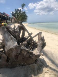 a piece of drift wood on a beach at Orange House in San Juan