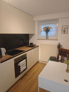 a kitchen with white cabinets and a stove top oven at Ruhige FeWo Soutterainwohnung im Grünen in Hamburg