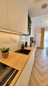 Dapur atau dapur kecil di Plac Wolności 6 Residence