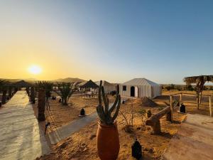 a cactus in a pot in the desert at sunset at Amskou Luxury Desert Camp in Merzouga