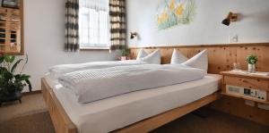 Billede fra billedgalleriet på Hotel Acla Filli i Zernez