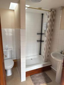 a bathroom with a shower and a toilet and a sink at Holly cottage in Catfield
