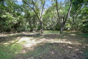 Κήπος έξω από το Historic Athens Home with Location & Comfort home