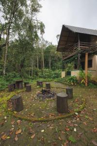 サクルシュプールにあるKaatiKaaduの建物前の一団の木切り