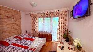 TV a/nebo společenská místnost v ubytování Toporowa Parzenica