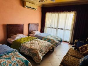 ein Hotelzimmer mit drei Betten und einem Fenster in der Unterkunft Cleopatra hostel -埃及艳后 民宿 in Kairo