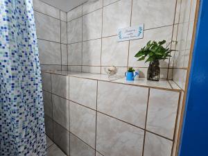 Un baño alicatado con un estante con una planta. en Floripa espaço independente com próx Centro e UFSC, en Florianópolis 22 fotos más
