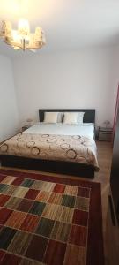 a bedroom with a bed and a rug at Escapadă urbană, confort, curte privată și parcare in Piatra Neamţ