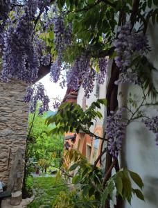 a tree with purple flowers hanging from a building at Casa S Antonio Aradolo in Borgo San Dalmazzo