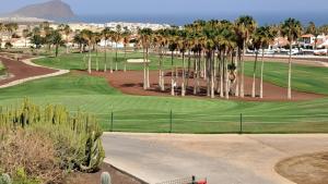 a view of a golf course with palm trees at Eagle Studio in San Miguel de Abona +7 photos
