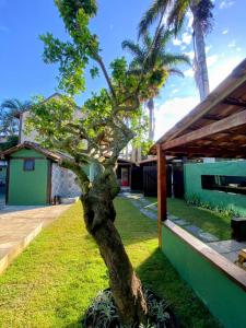 a small tree in a yard next to a house at Pousada Villa das Palmeiras in Búzios