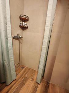 a bathroom with a shower and a shelf on the wall at La maison verte NAFPLIO in Nafplio +25 photos