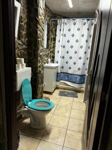 Ένα μπάνιο στο Camping, Picnic Merișor Bănița Hunedoara