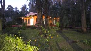 a house in the middle of a yard with trees at LA INESITA in Santa Ana