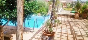 una piscina con plantas en ollas junto a una valla en dar boumida, en Lalla Takerkoust