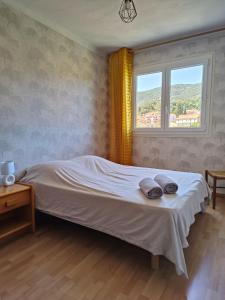 a bedroom with a bed with two pillows and a window at Appartement 4 pers Balcon Parking gratuit in Amélie-les-Bains-Palalda
