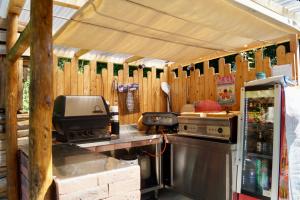 an outdoor kitchen with a grill and a refrigerator at Grüne Oase Souterrain in Buxheim