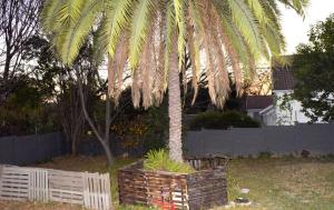 a palm tree in a brick planter next to a white fence at Private Guest suite in Ferndale in Johannesburg