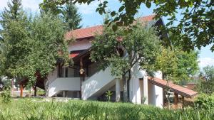 Gallery image of Guest house Ema in Grabovac