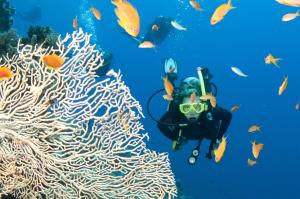 Гости Private Charter - Ocean Free
